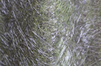 Spion Kop fibreglass roof work